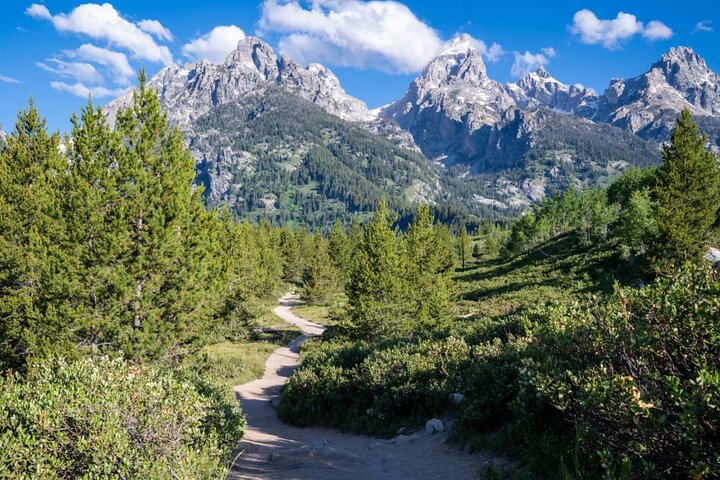 Forfait de visites en voiture autoguidées à Grand Teton et Yellowstone
