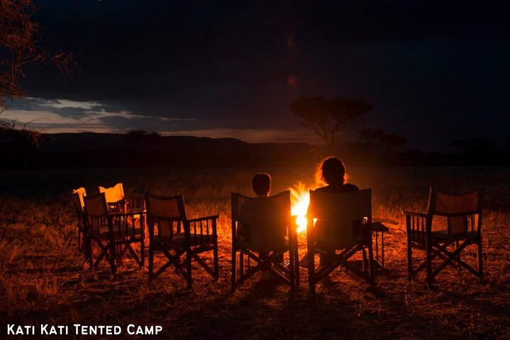 Ultimate Safari Adventure: Ngorongoro - Serengeti - Manyara
