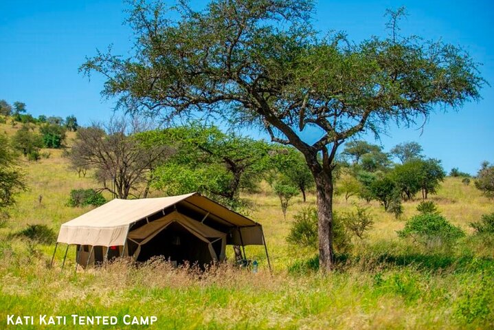 Ultimate Safari Adventure: Ngorongoro - Serengeti - Manyara