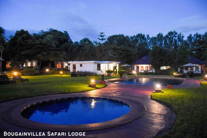 Ultimate Safari Adventure: Ngorongoro - Serengeti - Manyara
