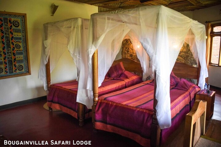 Ultimate Safari Adventure: Ngorongoro - Serengeti - Manyara