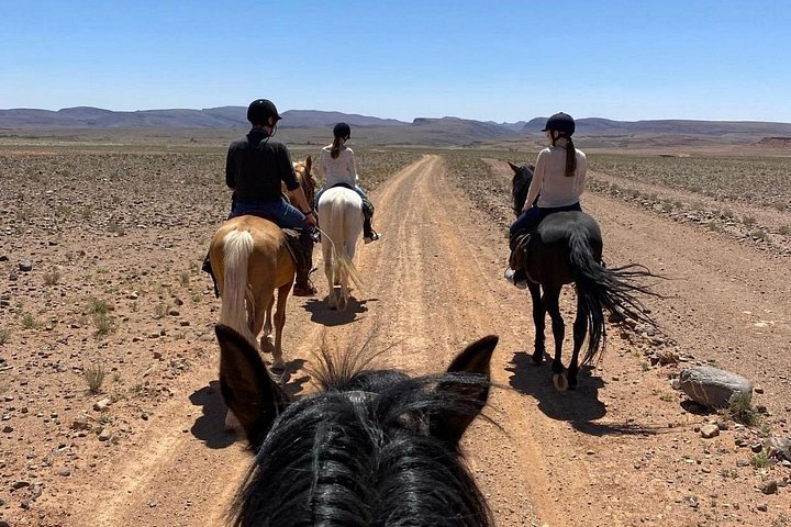 Königliche Privattour durch Ksar Ait Ben Haddou