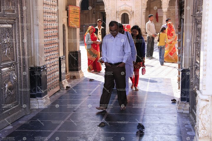 Jaisalmer Drop med besøk Junagarh Fort og Rat Temple fra Bikaner
