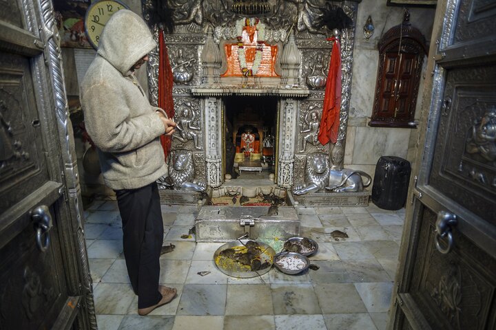 Jaisalmer Drop med besøk Junagarh Fort og Rat Temple fra Bikaner