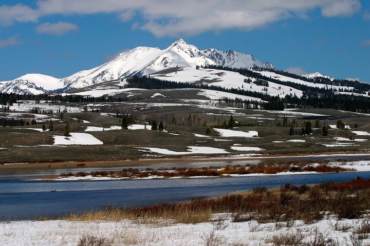 Forfait de visites en voiture autoguidées à Grand Teton et Yellowstone