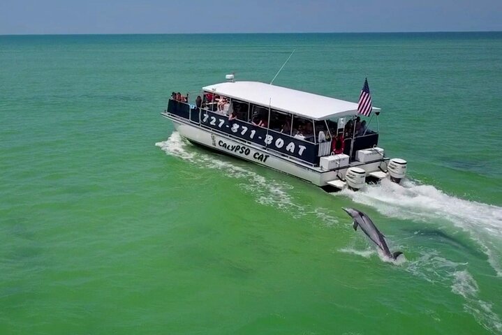 4-timers Egmont Key Island Tour med delfiner og snorkling inkluderet