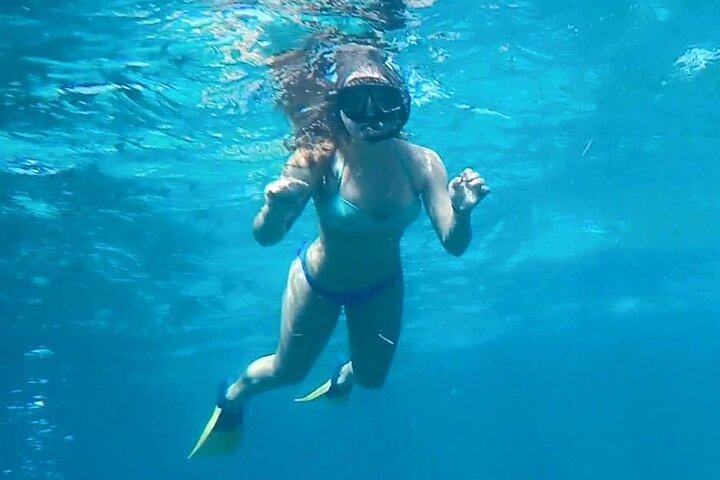 4-timers Egmont Key Island Tour med delfiner og snorkling inkluderet