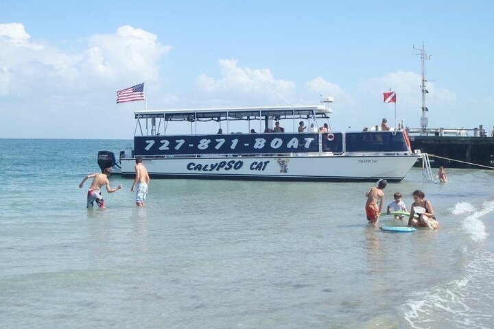 4-timers Egmont Key Island Tour med delfiner og snorkling inkluderet