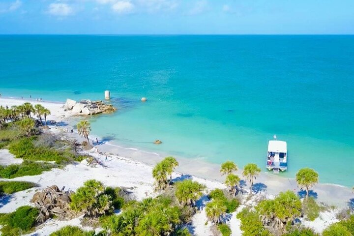 4-timers Egmont Key Island Tour med delfiner og snorkling inkluderet