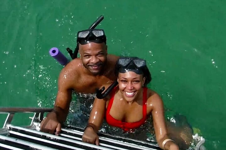 4-timers Egmont Key Island Tour med delfiner og snorkling inkluderet
