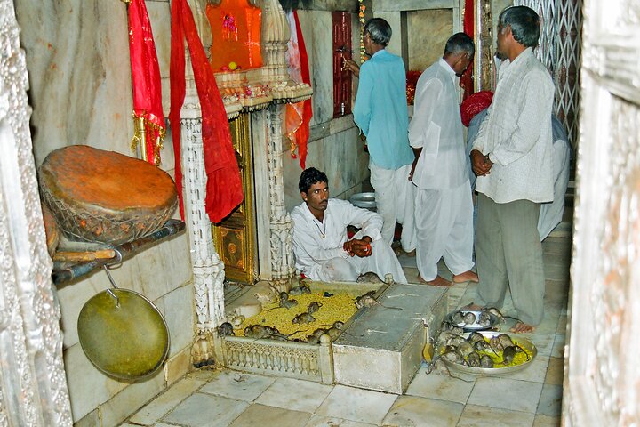 Jaisalmer Drop med besøk Junagarh Fort og Rat Temple fra Bikaner