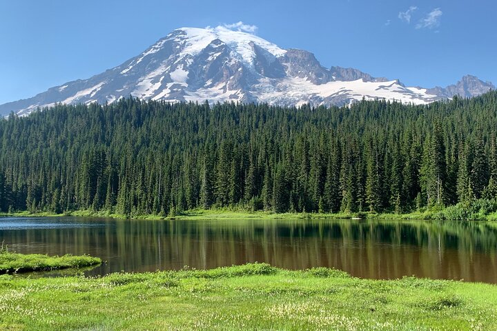 Guided hike on Mt. Rainier - old forest, falls and glacier views