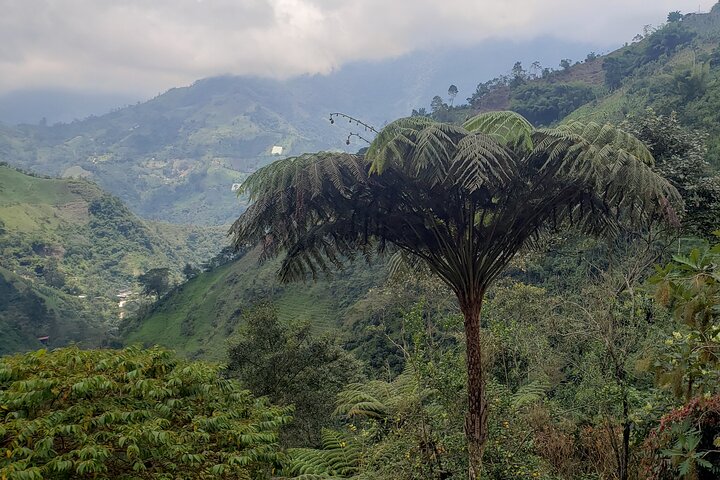 Udflugt til La Plata-vandfaldet i Ibagué (490 meter det højeste i Tolima)