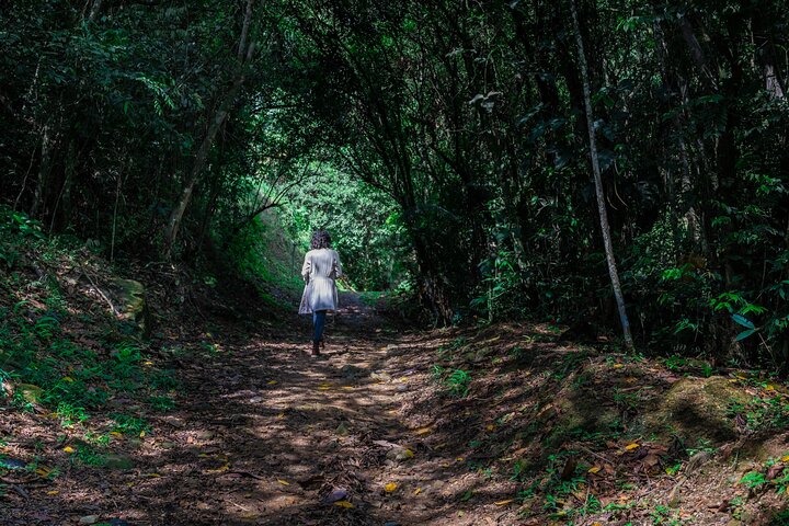 Una giornata per godersi la natura e vivere un'avventura nel fiume Giordano