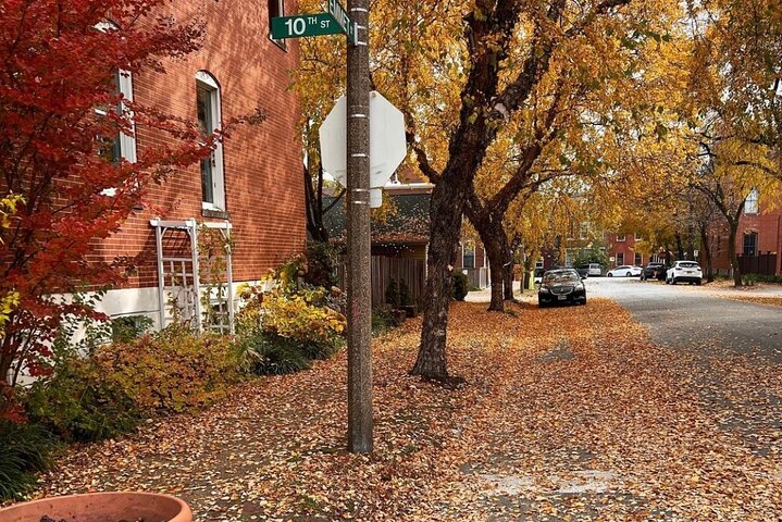 St. Louis True Crime Tour: Soulard's Murders, Mafia & Mayhem (em inglês)
