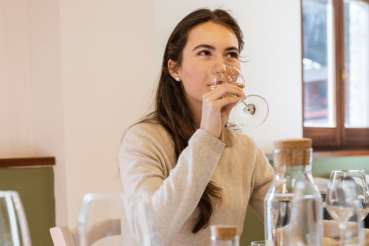 Excursão privada de comida e vinho na adega com degustações