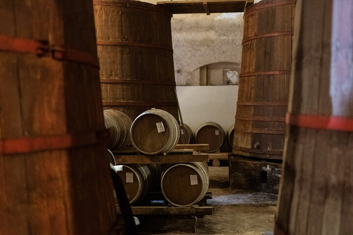 Excursão privada de comida e vinho na adega com degustações