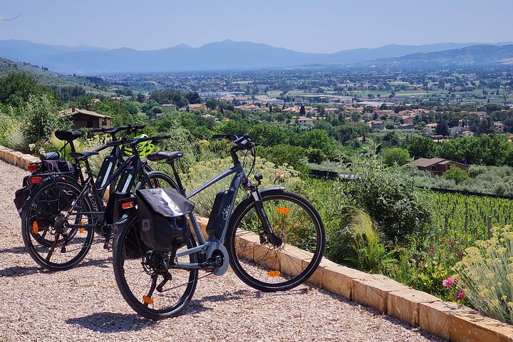 Spello E-bike og vin tur med naturskjønne vingård lunsj