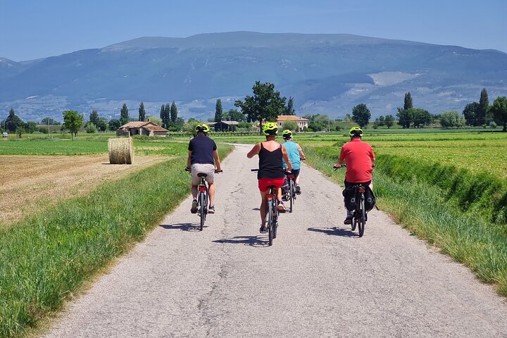 Spello E-bike og vin tur med naturskjønne vingård lunsj