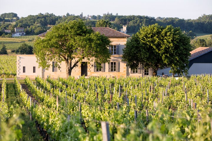 Saint Emilion Excursão de meio dia com degustação de vinhos e visita à vinícola a partir de Bordeaux
