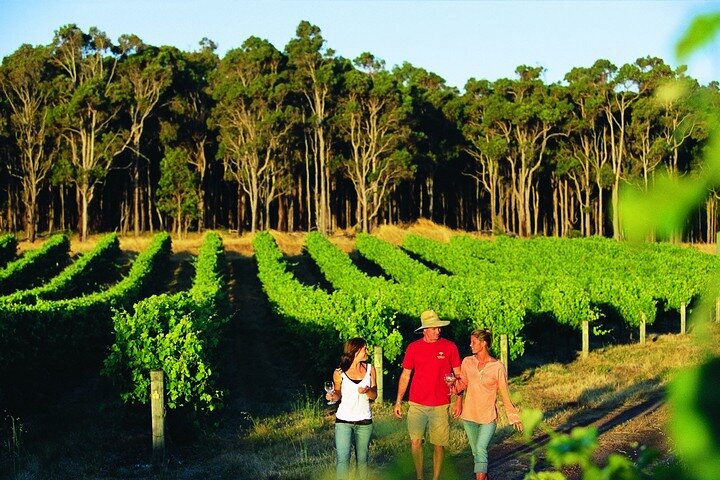 Byg din egen unikke private vingård/bryggeritur i Margaret River-regionen