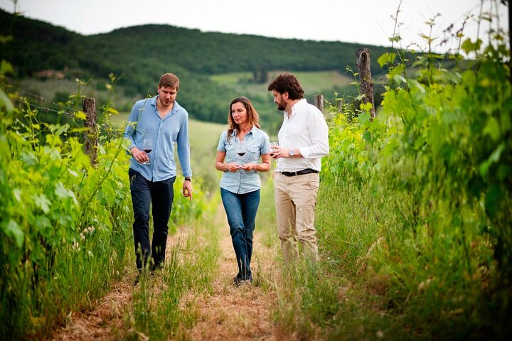 Domaine viticole Montefioralle - Visite et dégustation de vins dans le Chianti