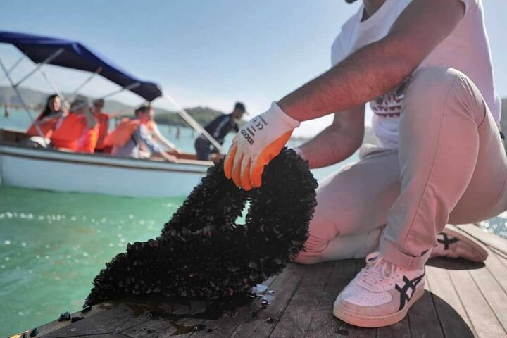 Ksamil: Mussel seiltur med mat og drikke i Albania