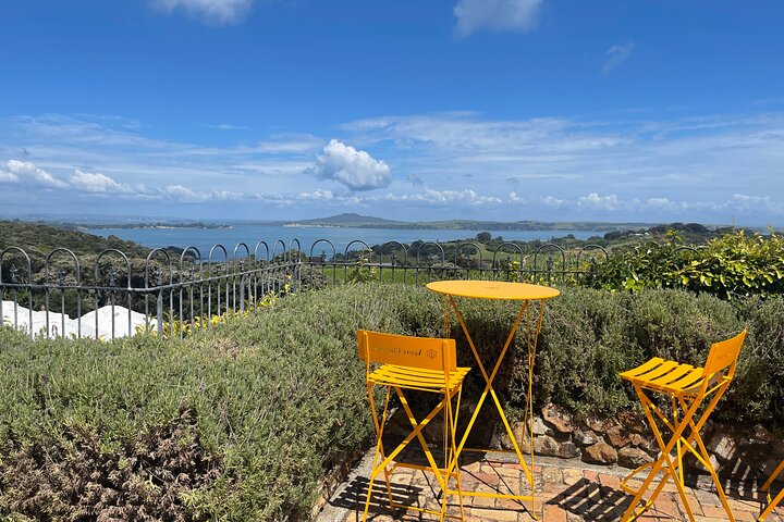 Auckland : Waiheke Island Scenic Tour 4 vingårder, lokale guider