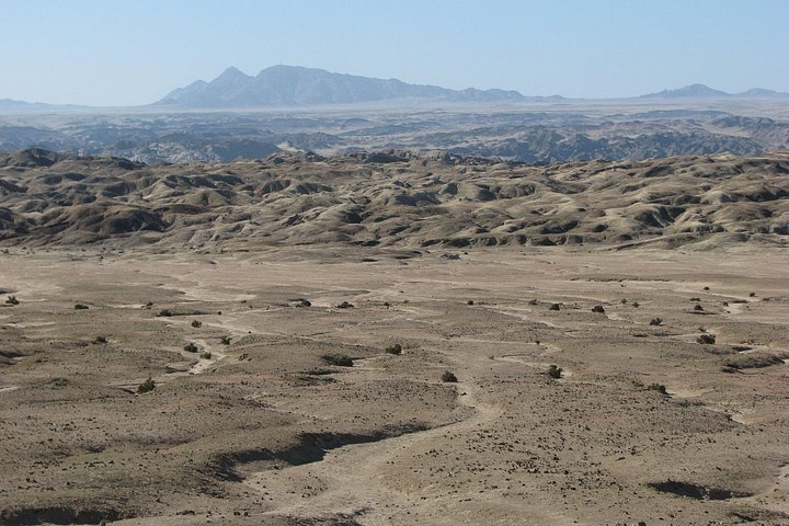 Heldagstur i Namiböknen från Swakopmund, Namibia