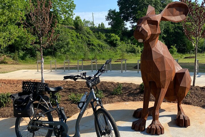 Pedego Electric Bike Tour i Greenville