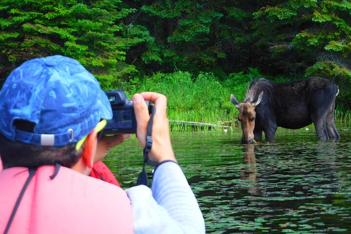 Hoteller i nærheden af Algonquin Park 3 - Day Deluxe Camping & Canoeing Adventure
