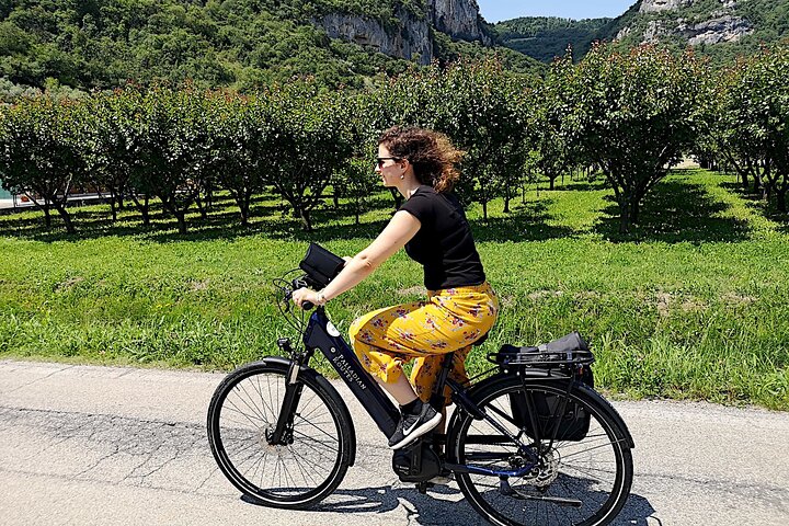 Unesco Palladian Villas i Vicenza: Privat e-cykeltur med picknick och aperitif