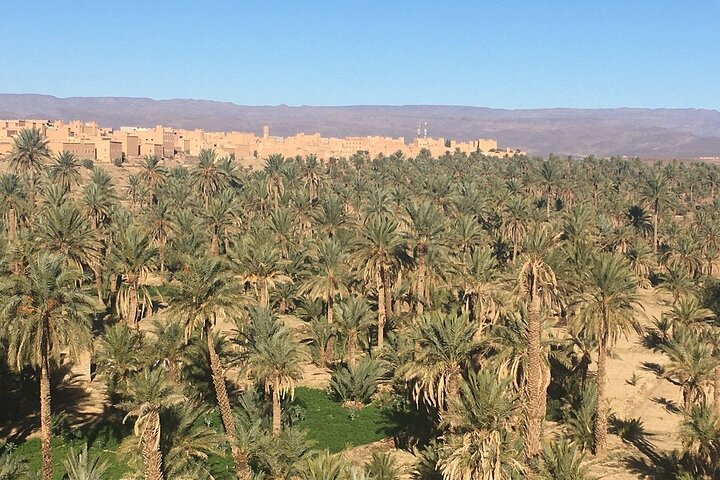 Privat udflugt fra Ouarzazate til Gorges Dades, Valley of Roses og Skoura