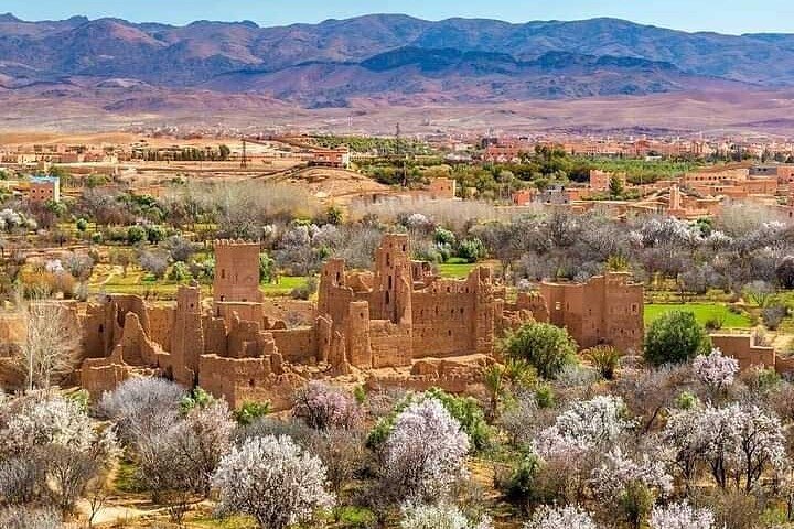 Privat udflugt fra Ouarzazate til Gorges Dades, Valley of Roses og Skoura