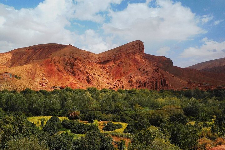 Privat udflugt fra Ouarzazate til Gorges Dades, Valley of Roses og Skoura