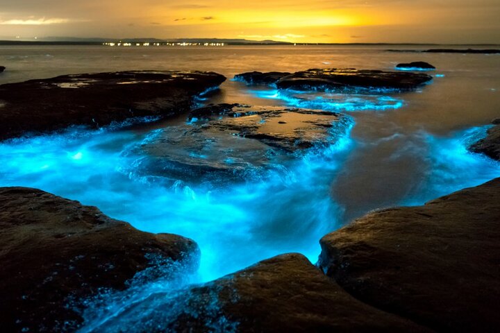 Restauranter i nærheten av Bioluminescence Clear Kayak & Paddleboard Tour