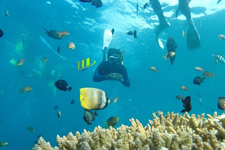 Tulamben Snorkeling en USAT Liberty Shipwreck Karangasem Bali
