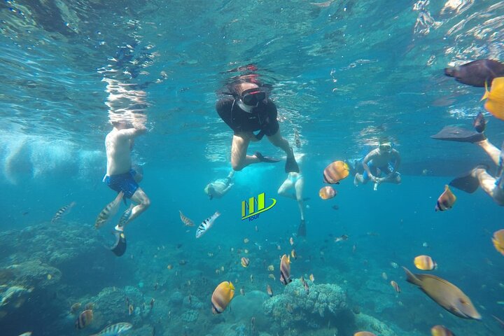Tulamben Snorkeling en USAT Liberty Shipwreck Karangasem Bali