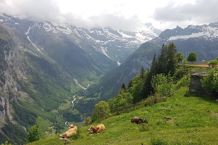 Lauterbrunnen-Mürren : tour per piccoli gruppi delle Alpi svizzere da Interlaken
