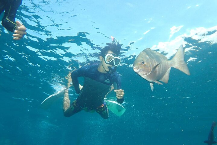 Tulamben Snorkeling en USAT Liberty Shipwreck Karangasem Bali