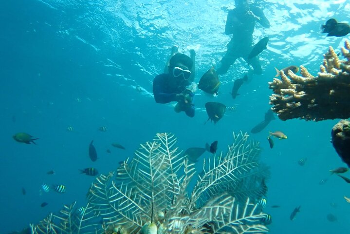 Tulamben Snorkeling en USAT Liberty Shipwreck Karangasem Bali