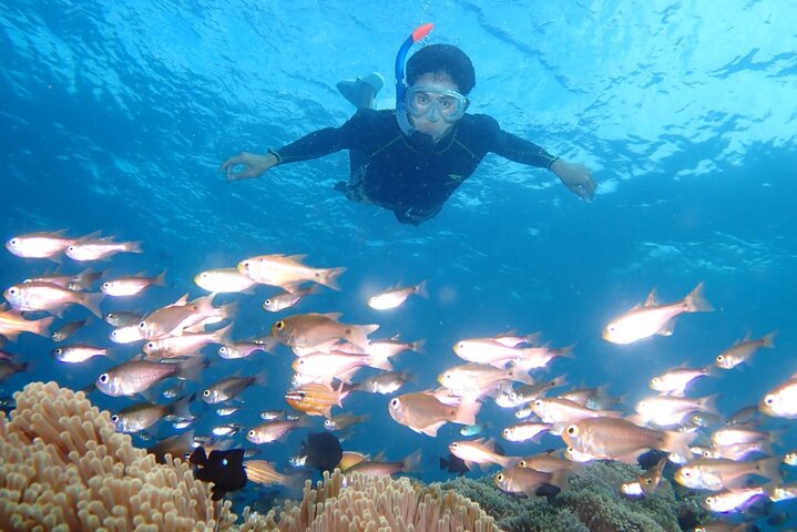 Tulamben Snorkeling en USAT Liberty Shipwreck Karangasem Bali