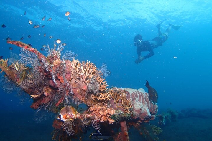 Tulamben Snorkeling en USAT Liberty Shipwreck Karangasem Bali