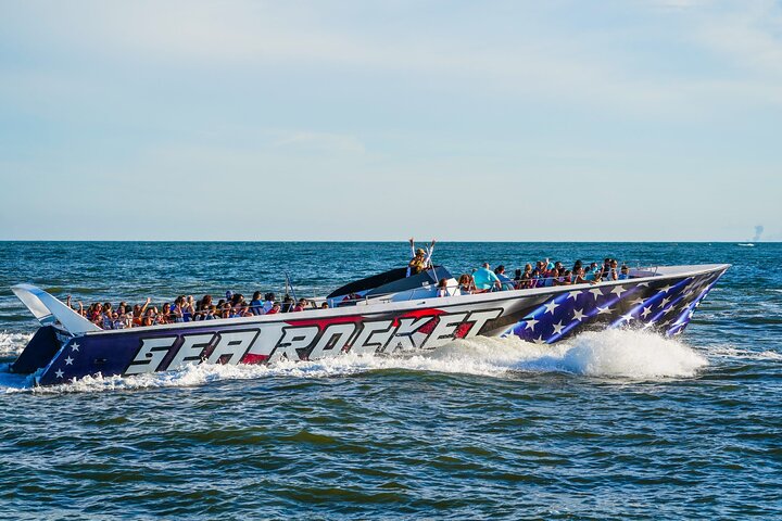EARLY BIRD SPECIAL: Croisière en bateau rapide et dauphin à Ocean City, MD
