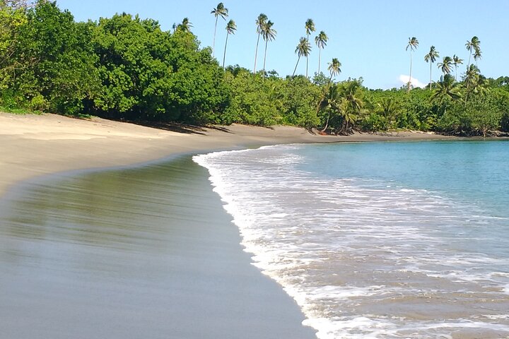 National Park Lava Cliffs and Black Sand Beach