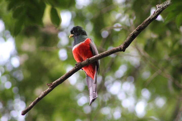 Ganztagesausflug nach Calakmul und Balamkú von Campeche
