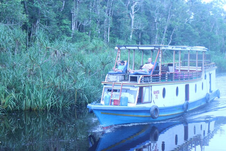 Casa flotante para orangutanes Kelotok Tanjung Puting 3 días Costo compartido