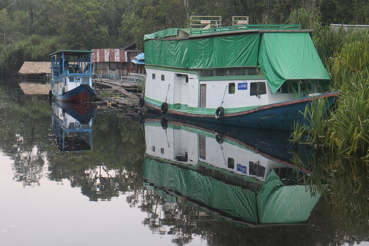 Casa flotante para orangutanes Kelotok Tanjung Puting 3 días Costo compartido