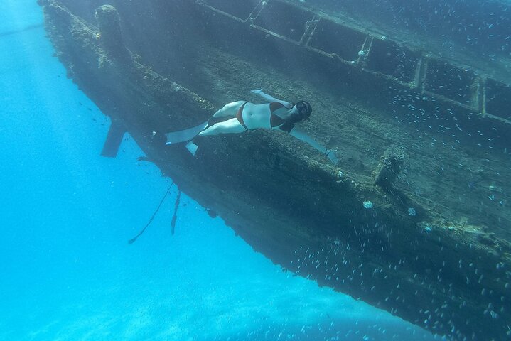 Maafushi: relitto di nave e snorkeling con lo squalo nutrice con osservazione dei delfini