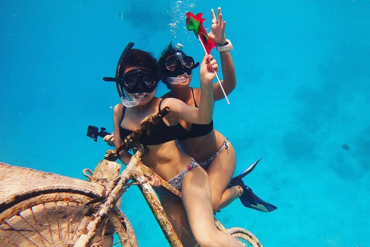 Maafushi: relitto di nave e snorkeling con lo squalo nutrice con osservazione dei delfini